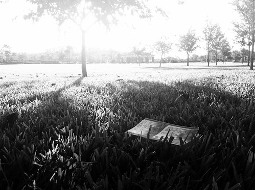 park blackandwhite tree grass reading book dante 365 bnw divinecomedy ruleofthirds purgatorio 365project