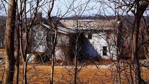 old trees house abandoned home farmhouse landscape march weeds farm widescreen wreck 169 dilapidated rundown condemed bouncingball 365project 62365 justonerule panoramafotografico greatpicturesoftheworld greatpicturesoflandscapes bigblueplanet 2011inphotos ayearjourney
