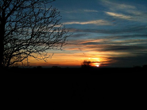 blue sunset orange tree yellow project grey spring pentax lincolnshire sillouette 365 3gs iphone wolds k10d sotby
