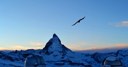 travel winter sunset sky snow alps bird tourism nature silhouette photography switzerland photo nikon europe image gornergrat matterhorn traveling dslr nikon1855mmf3556gafsdxvr d3100 nikond3100