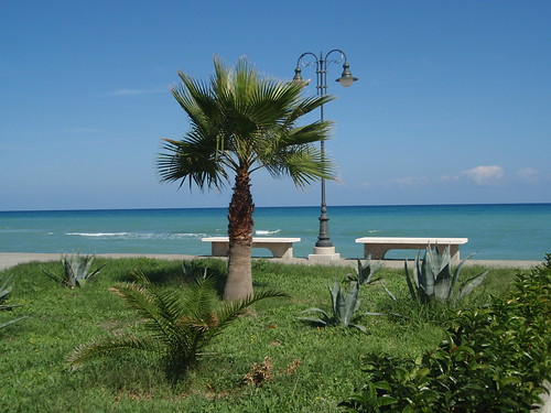 lampa palma aloevera moře pláž lavička mandatoriciiomare