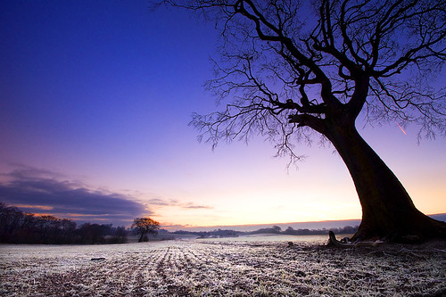 sky snow tree field clouds sunrise dawn early frost sony manfrotto wingate peterlee a550