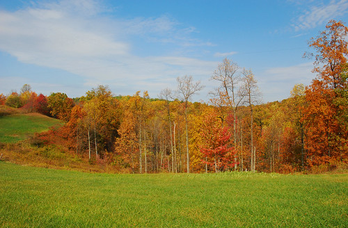 autumn color fall landscape