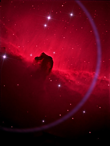 horse head space best telescope nebula astrophotography