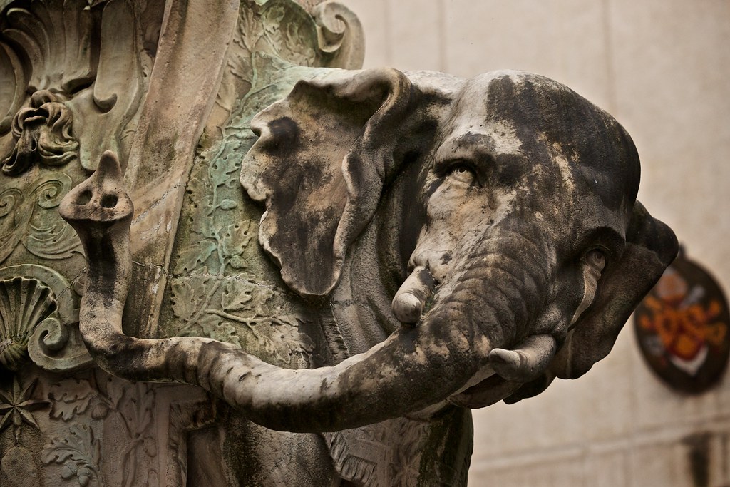 Bernini's Elephant in Piazza Minerva