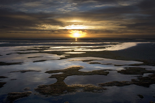 sea beach sunrise geotagged mar playa amanecer abeltasman nzl nuevazelanda sandybay marahau geo:lat=4100543934 geo:lon=17300976634