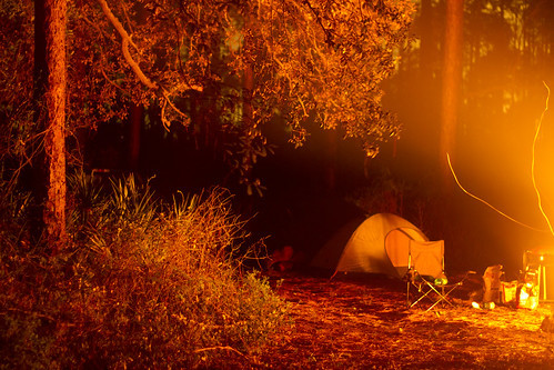 red camp orange tree leaves fire glow tent flame spark