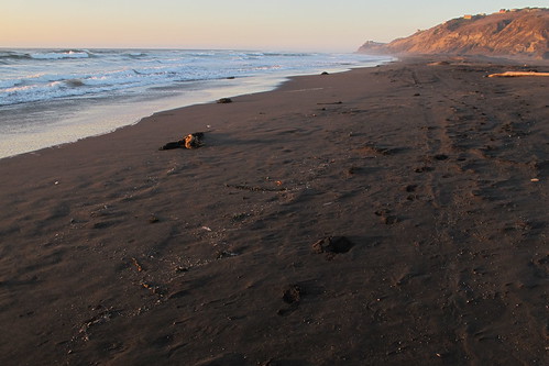chile sunset beach navidad sand daniel playa arena fajardo atradecer danielfajardo comunadenavidad