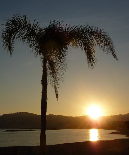 sunset sea sky tramonto mare ngc cielo palme kartpostal mindigtopponalwaysontop