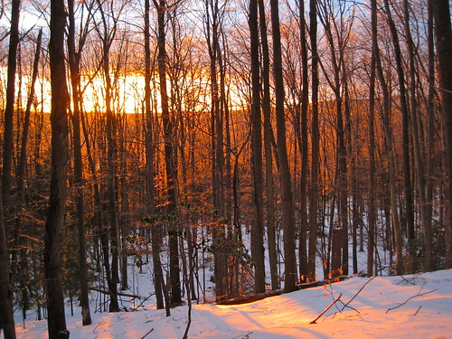 Berkshire County late winter