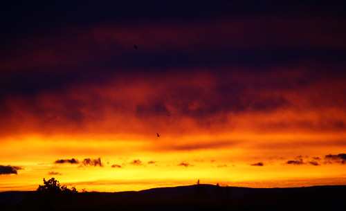 sunrise scotland january tain 2011