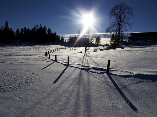 winter sun snow oneaday norway canon fence wonderful raw shadows photoaday pictureaday asker 2011 fav10 drengsrud project365 trondjs project36544 project365021311 project36513feb11