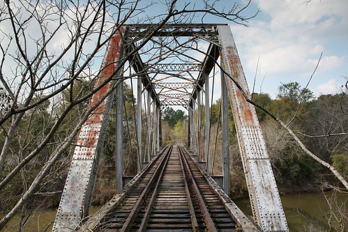 elba alabama railroadbridge historicbridge closedbridge abandonedbridge coffeecounty throughtruss thrutruss pratttruss peariver prattthroughtruss alabamamidlandrailroad