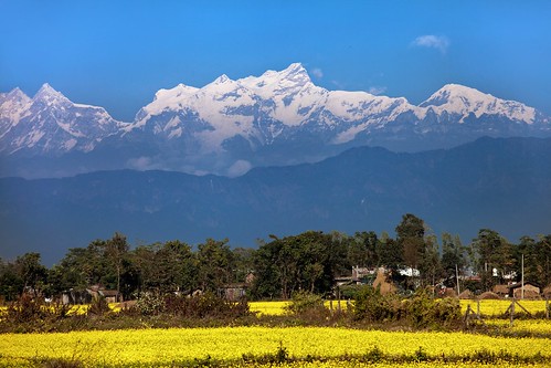 nepal nature landscape day outdoor country indoor 乡村 油菜花 雪山 snowpeak 尼泊尔 ef70200mmf4lisusm
