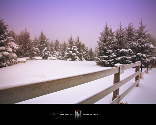 trees winter sky usa snow cold nature lines wisconsin composition rural fence landscape outdoors photography photo midwest scenery december purple image country picture atmosphere wideangle northamerica canonef1740mmf4lusm pinetrees 2010 iowacounty dodgeville canoneos5d pleasantridge lorenzemlicka