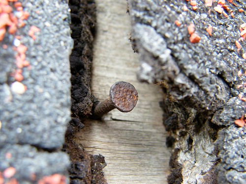 old nail shingle rusty