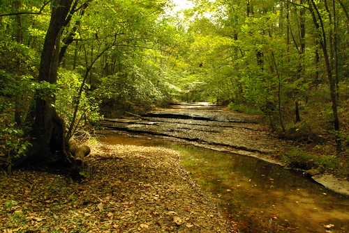 tn burgessfallsstatepark