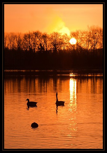 sun sunrise golden pond wildlife “flickraward” “flickraward5” “flickrawardgallery”