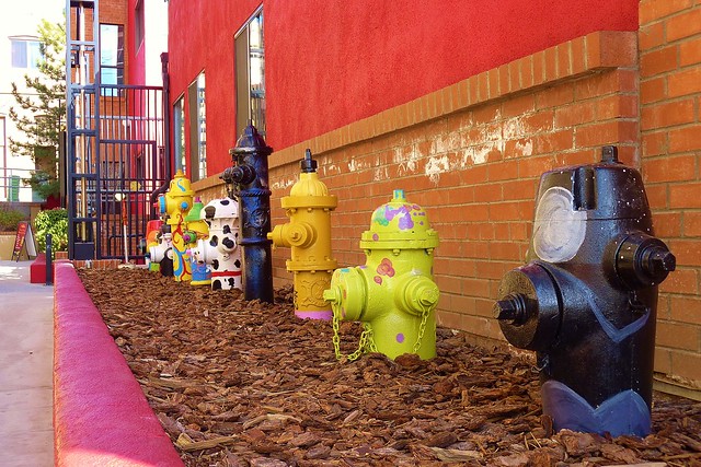 Painted fire hydrants