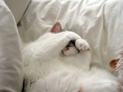 Too adorable for words