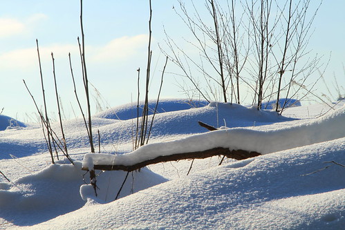 winter sun snow canon suomi finland view sunny scene 7d lumi talvi maisema laukaa aurinko näkymä aurinkoinen valkola anttospohja