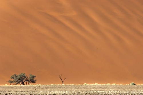 landscape dunes namibia sossusvlei afzoomnikkor80200mmf28ed