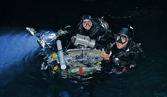 Plankton Dive PNG