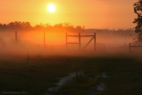 fog sunrise fence smoke oldflorida