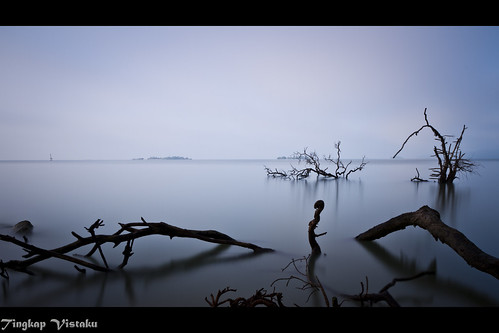 ocean sea nature water silhouette landscape branches serenity 7d serene longshutter uwa efs1022 bw110