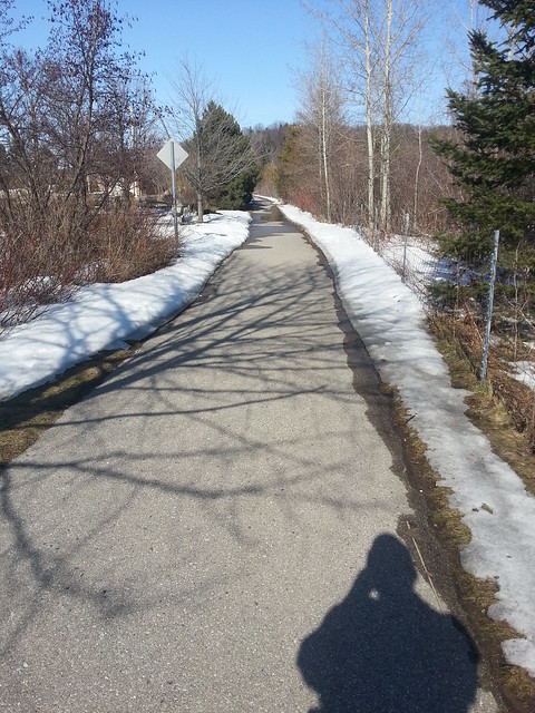 bike path flanked by snow
