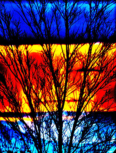 sunset postprocessed tree branches wyoming limbs evanston treelimbs evanstonwy pped uintacounty evanstonwyoming