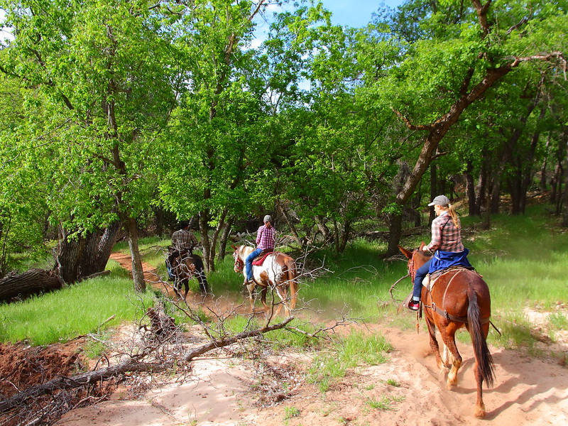 IMG_6382 Horseback Ride: Sand Bench Trail