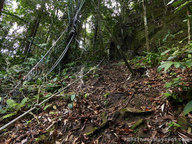 22 Bukit Serumbu Rope Ascent After Ngiroyan Raja