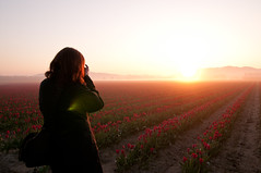Margaret photographs the sunrise