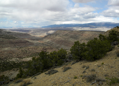 colorado wilderness blm westerncolorado dominguezescalantenationalconservationarea dominguezcanyonwilderness dominguezescalantenca mccartybench mccartytrail