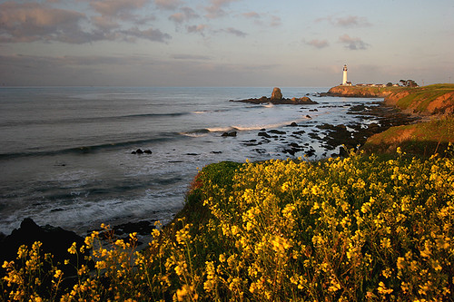 california usa lighthouse sanmateo pigeonpoint pescadero