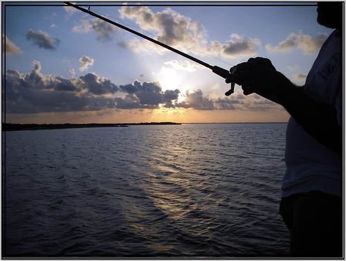 sunset water sunrise bay fishing louisiana swamp terrebonne cocodrie