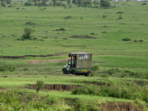 africa geography kenya maasaimaragamereserve mahindra marutigypsy olareorokconservancy safarivehicle landcruiser landrover landtransportation