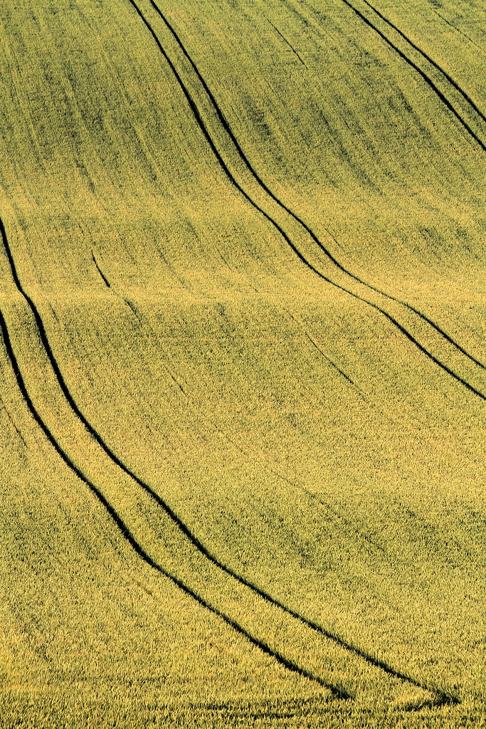 Traces in the Field