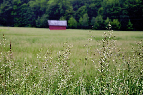 red green field barn rural countryside dof farm country rustic meadow westvirginia appalachia lewiscounty nikond90 janelew hcpd hackerscreek