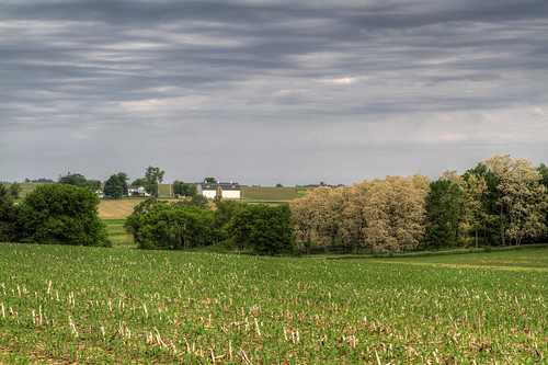 home grass clouds day cloudy ourhouse hdr agricultural treesleaves ourbarn campbellrd