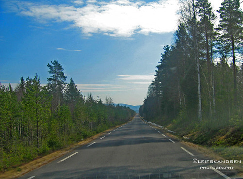 road street camera wood vacation tree norway canon way easter drive forrest leif finnskogen