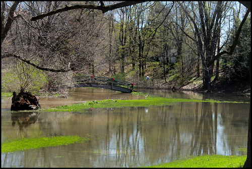 bridge trees storm water grass rain weather creek canon spring flood michigan mason stump april overflow t3i 2011 600d inghamcounty cimalacustomphotography