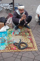 Snake Charmer, Marrakech