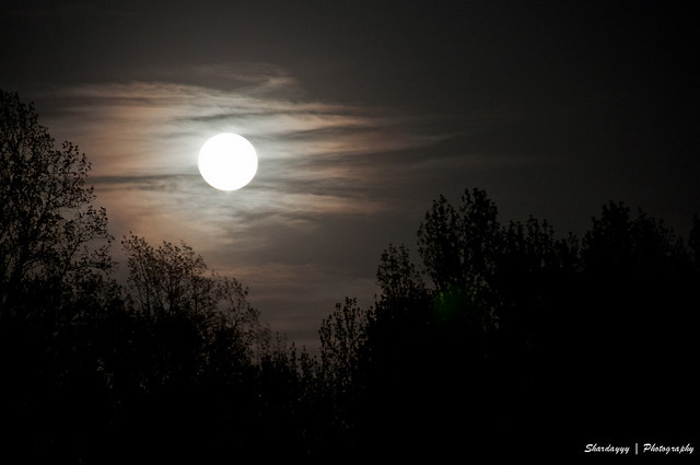 108/365 - 04/18/11 - Rising Full Moon from Flickr via Wylio