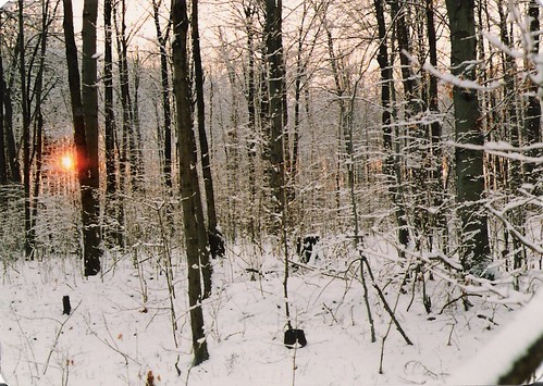 winter sunset snow ontario canada slr film 35mm canon 1 bush sin a1 blenheim 1980s clair
