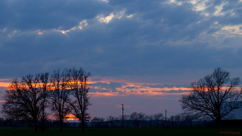 sunset silhouette evening dusk kentucky ky silhouettes oakgrove christiancounty