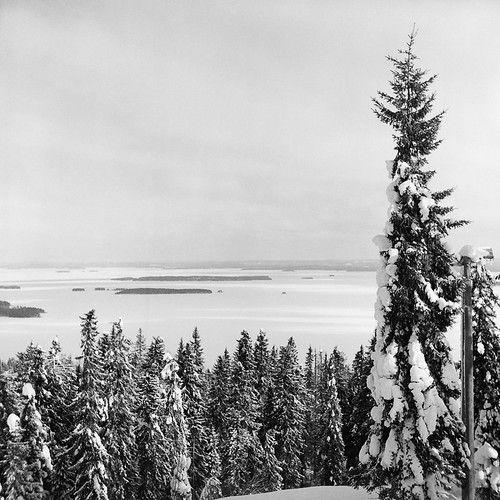 trees winter bw lake tlr mediumformat finland iso200 nationalpark hp5 ilford yashicad koli lieksa ukkokoli ilsofol3