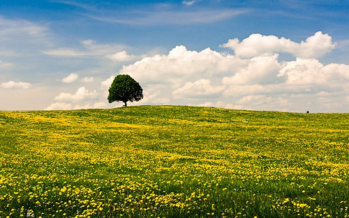 sky nature germany bayern deutschland bavaria spring nikon natur oberbayern himmel frühling countyside 2011 d90