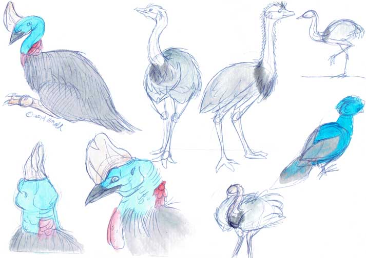 5.8.14 - National Zoo Sketches